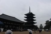 興福寺五重塔と東金堂